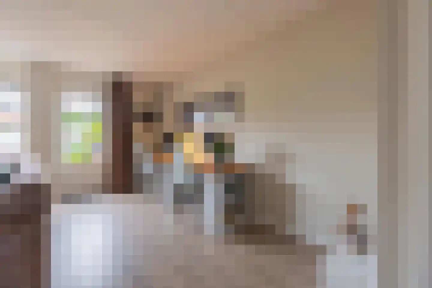 Duifkruid 60 Tiel thumbnail 18