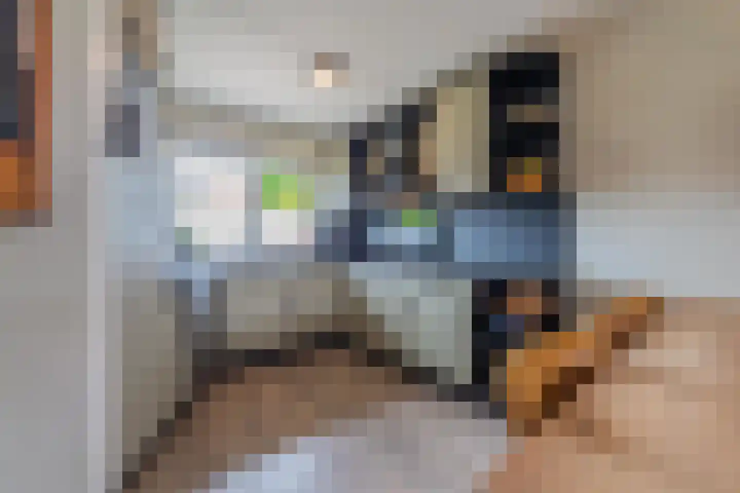 Duifkruid 60 Tiel thumbnail 20