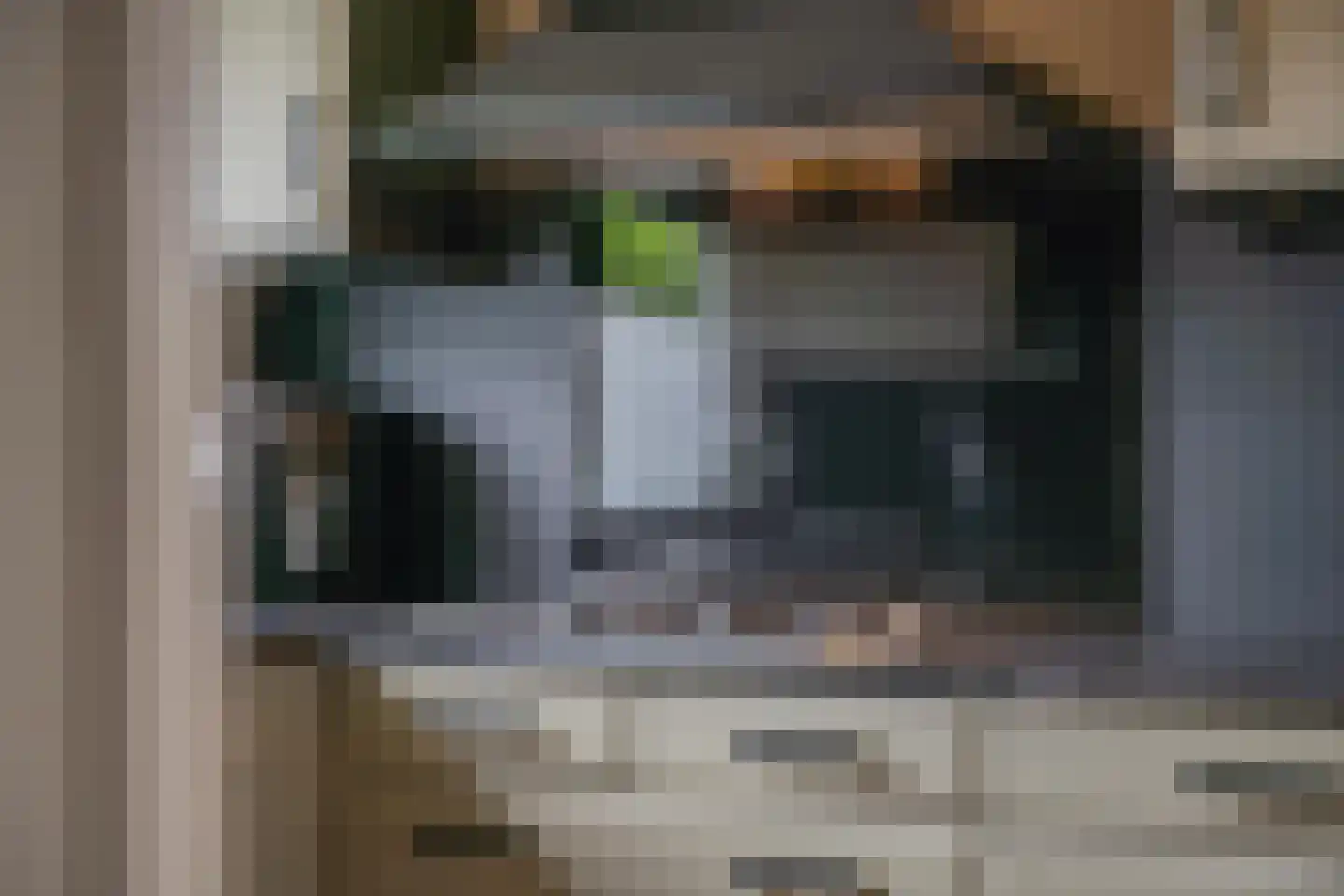 Duifkruid 60 Tiel thumbnail 23