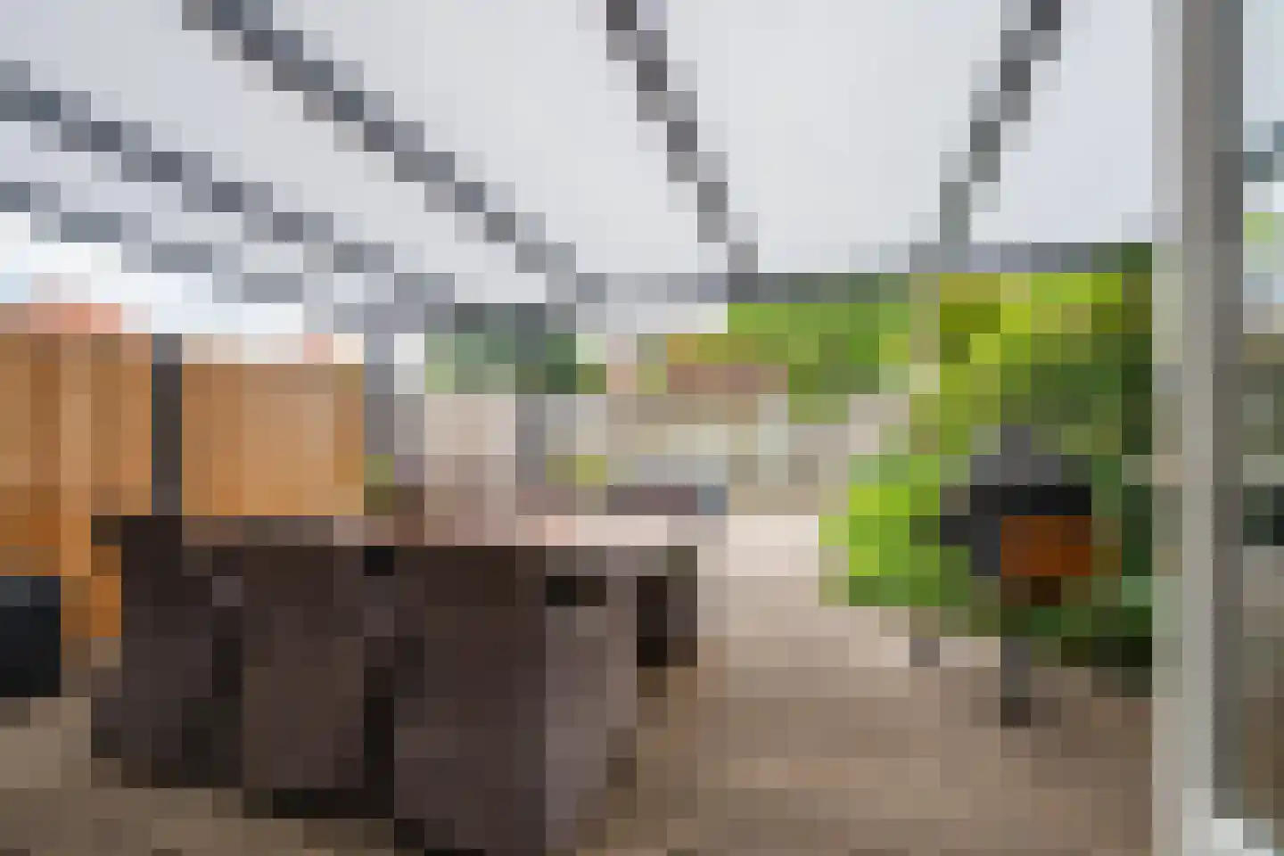 Duifkruid 60 Tiel thumbnail 24