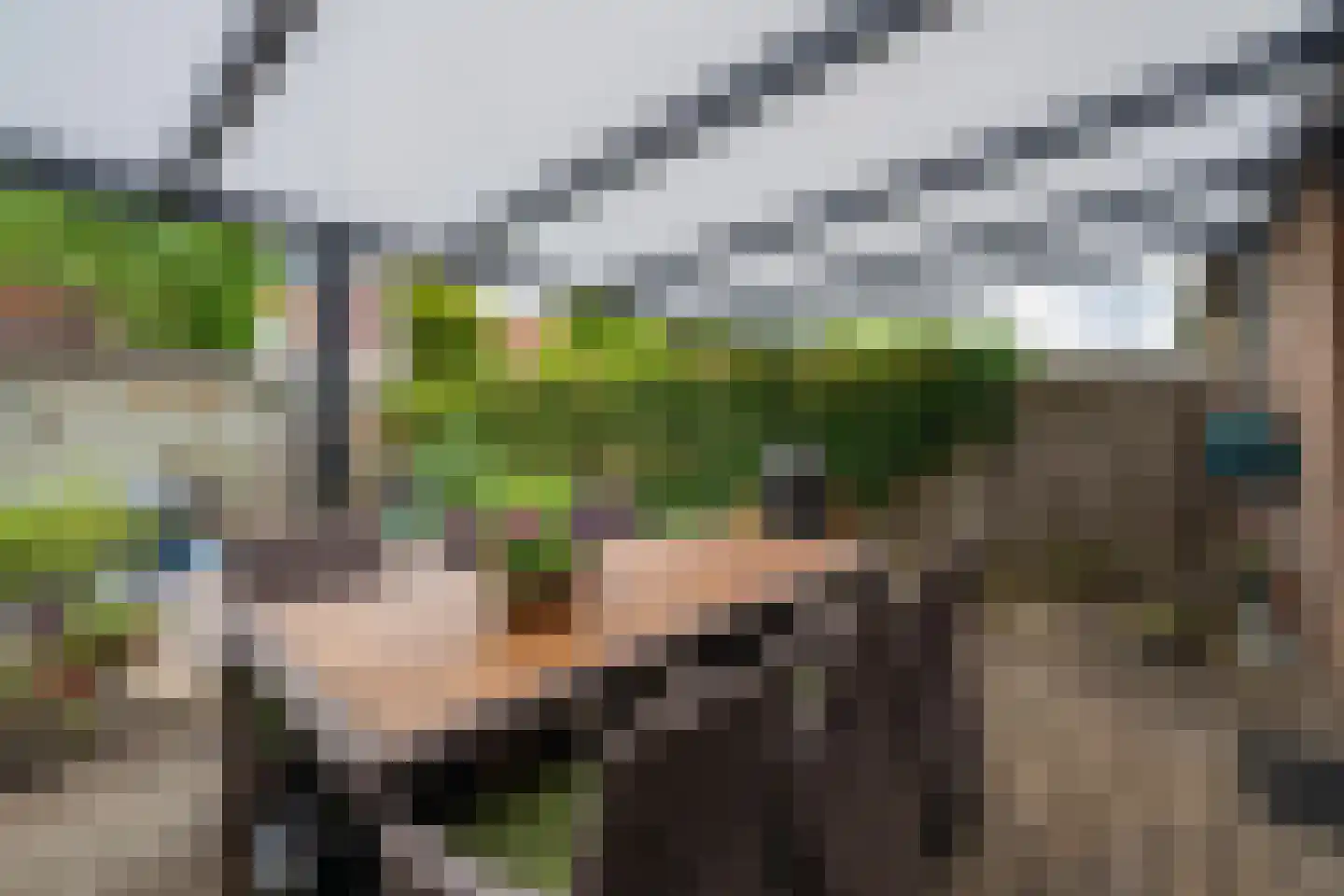 Duifkruid 60 Tiel thumbnail 26