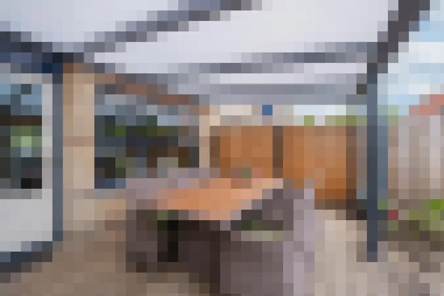 Duifkruid 60 Tiel thumbnail 27