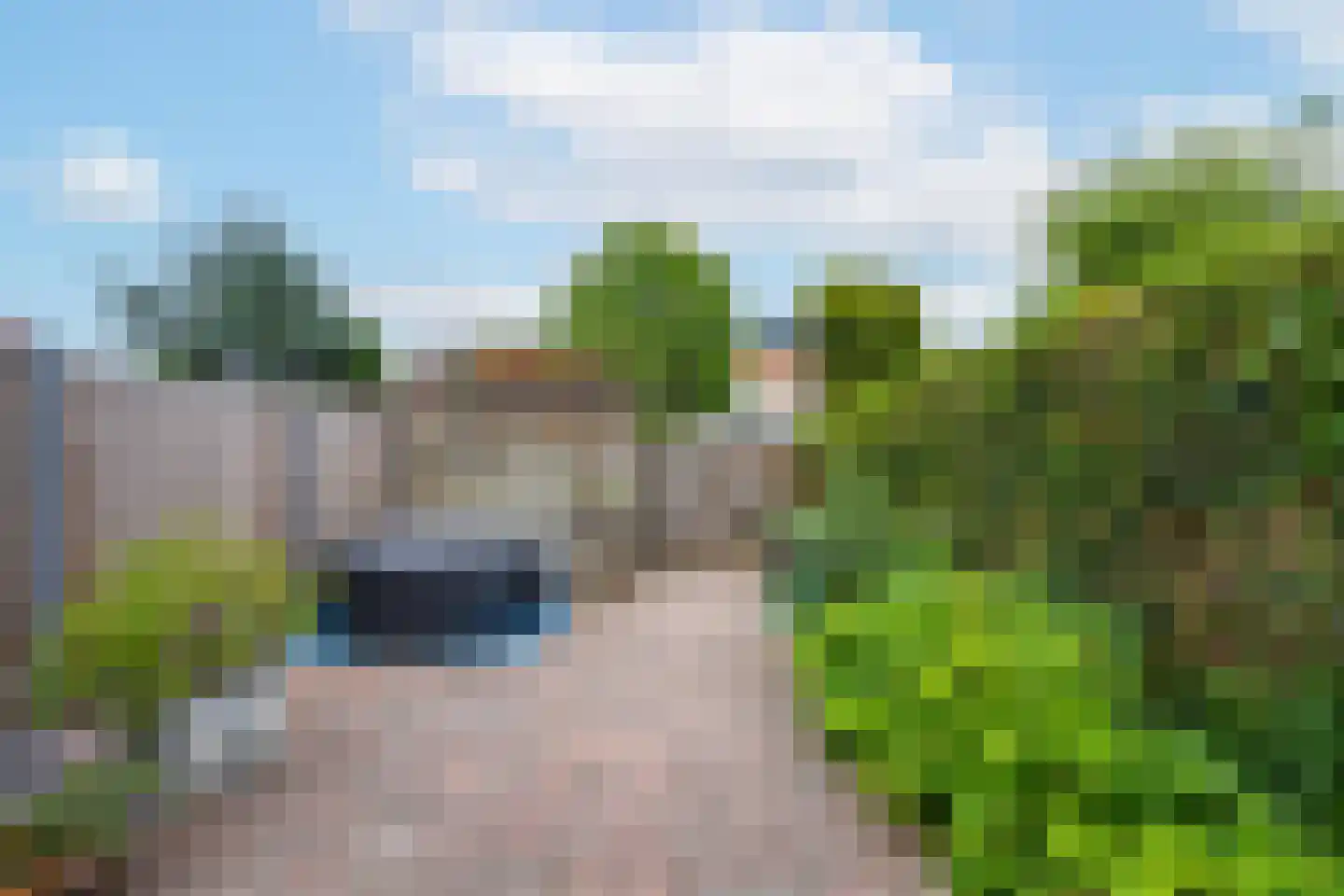 Duifkruid 60 Tiel thumbnail 29