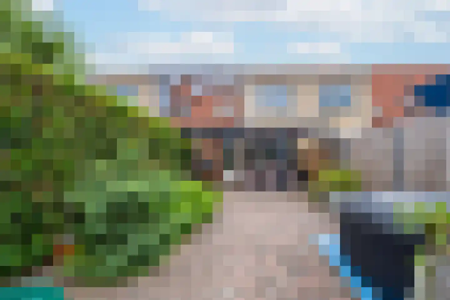 Duifkruid 60 Tiel foto 3