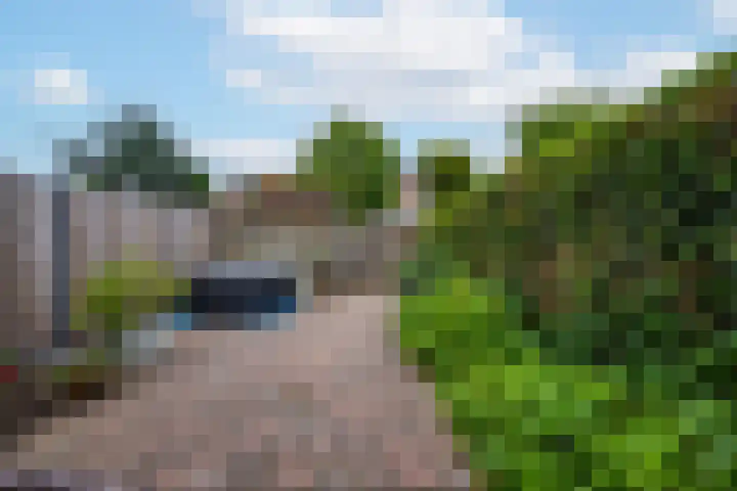 Duifkruid 60 Tiel thumbnail 30