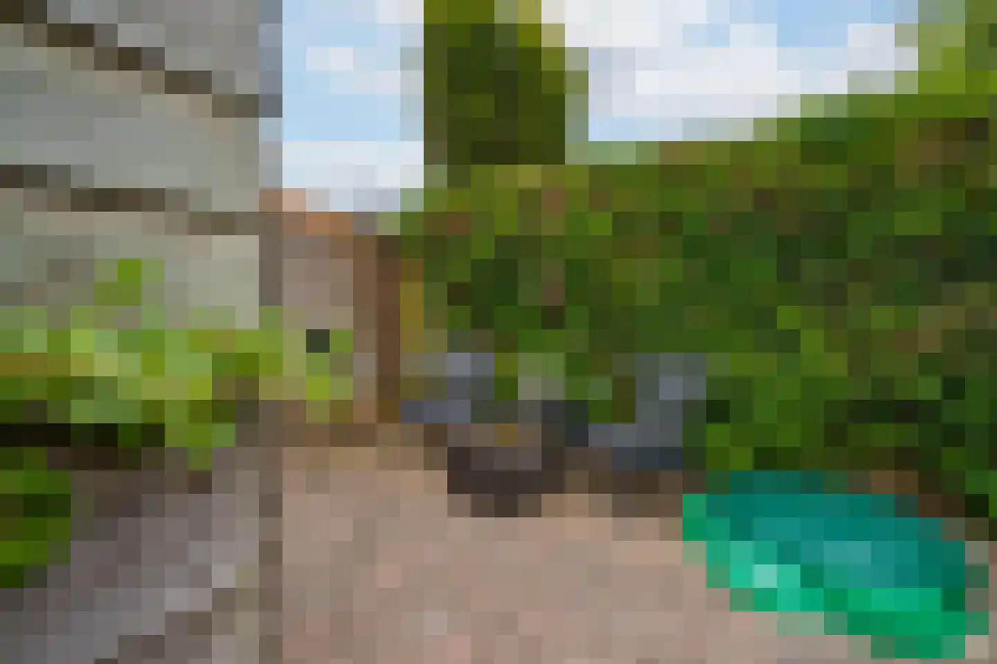 Duifkruid 60 Tiel thumbnail 33