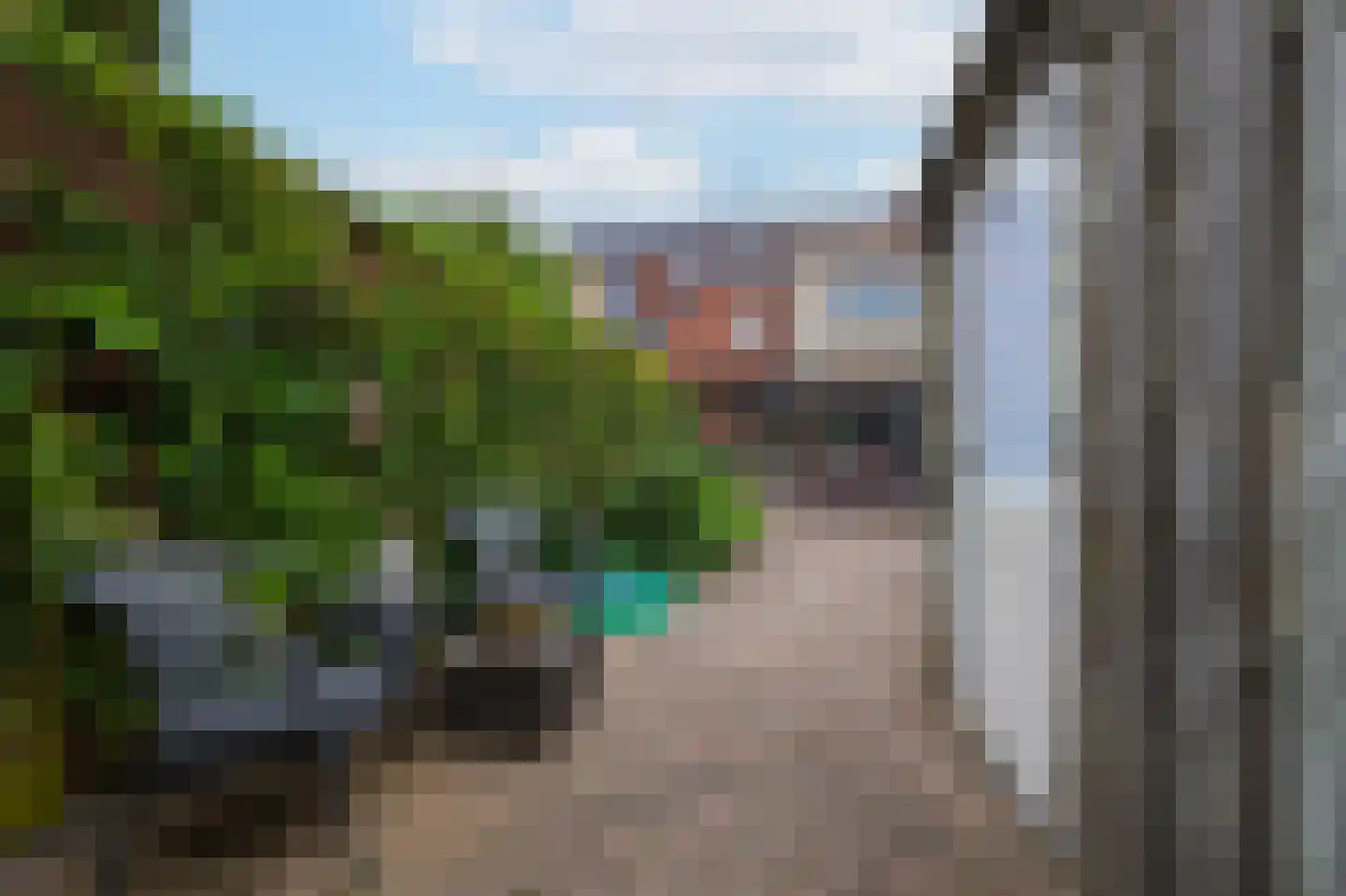 Duifkruid 60 Tiel thumbnail 34