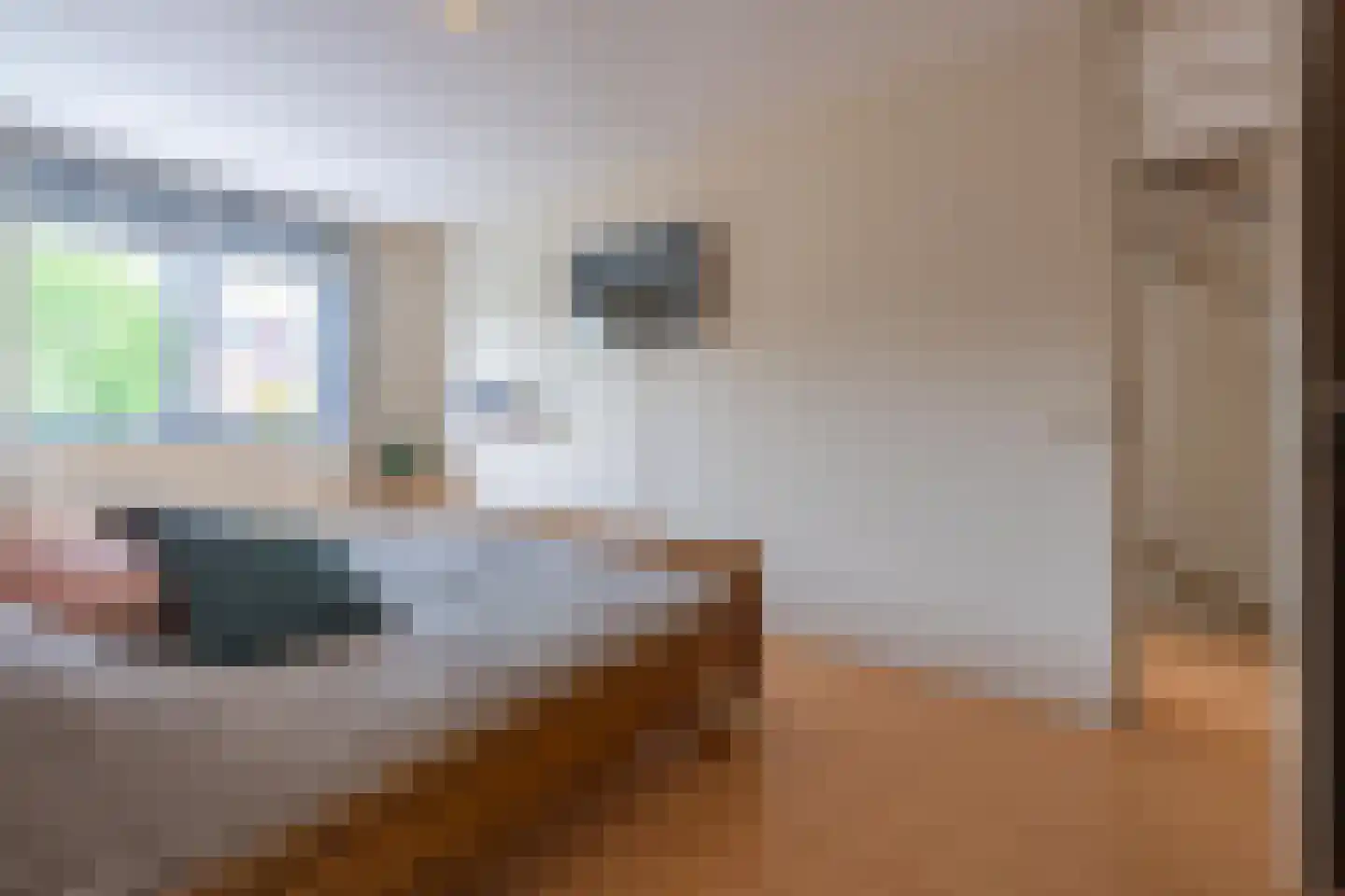 Duifkruid 60 Tiel thumbnail 39
