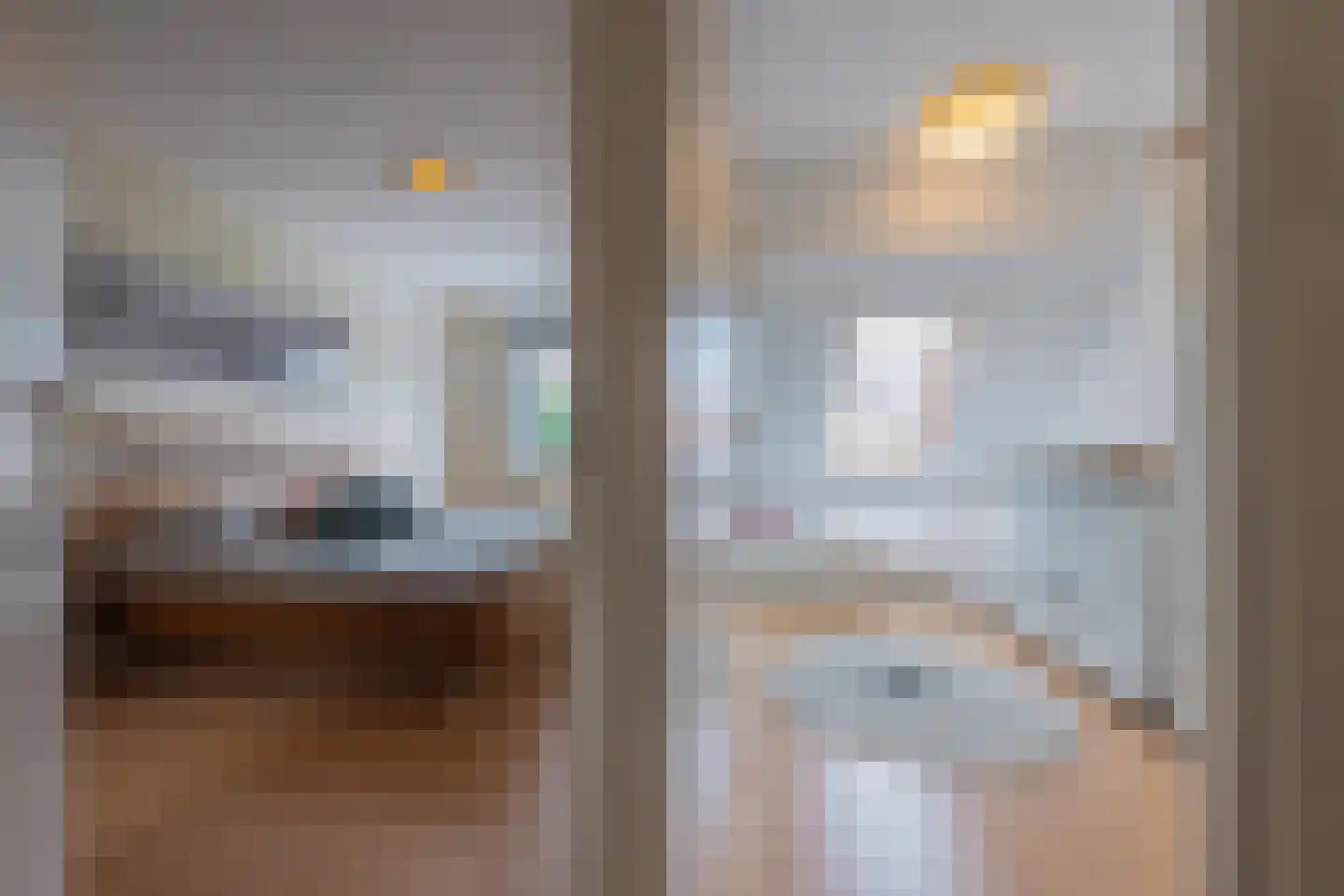 Duifkruid 60 Tiel thumbnail 42