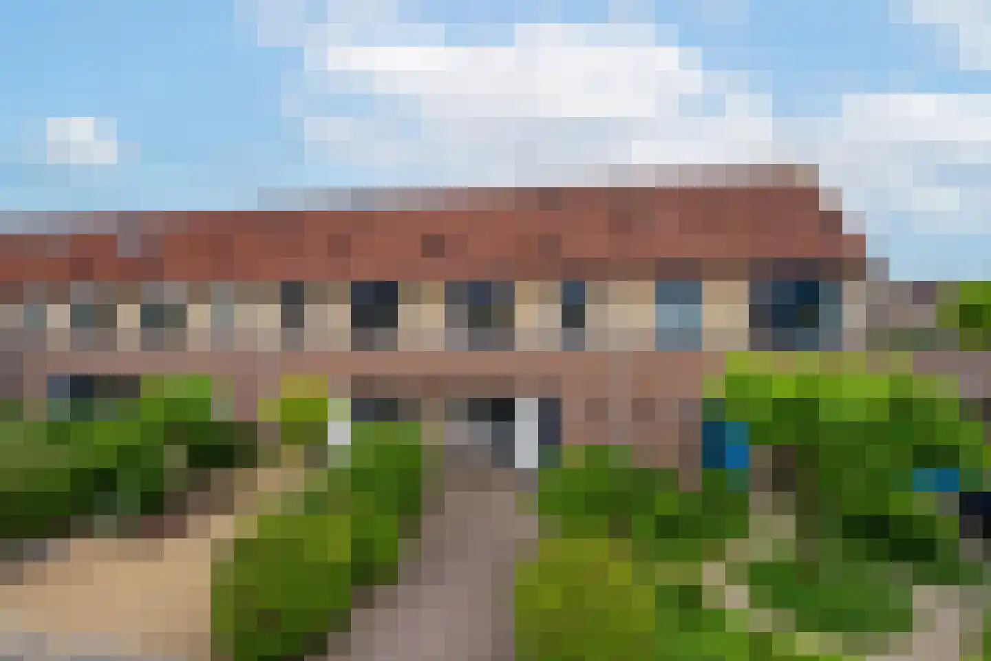 Duifkruid 60 Tiel thumbnail 5