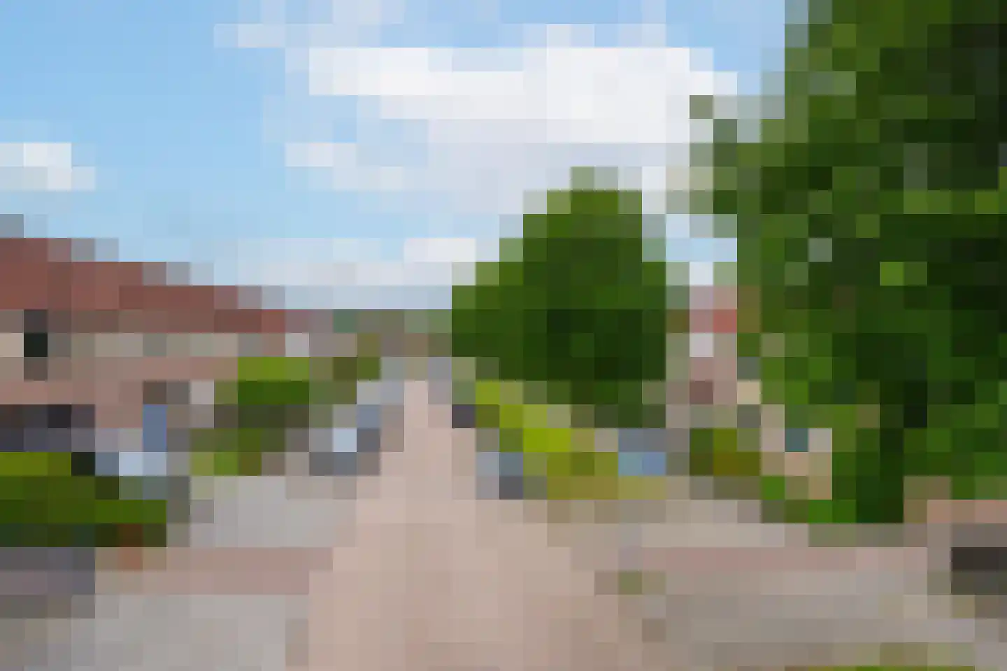 Duifkruid 60 Tiel thumbnail 6