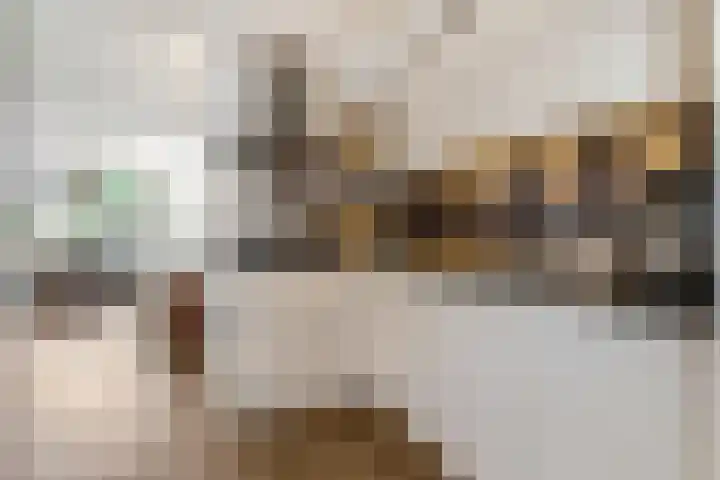 Duifkruid 67 Tiel thumbnail 10
