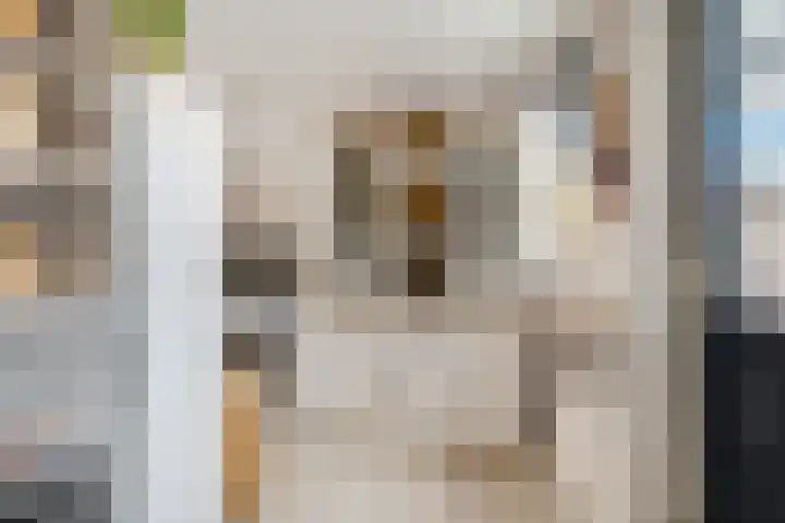 Duifkruid 67 Tiel thumbnail 12