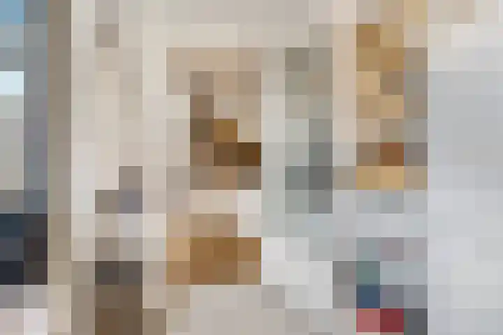 Duifkruid 67 Tiel thumbnail 13