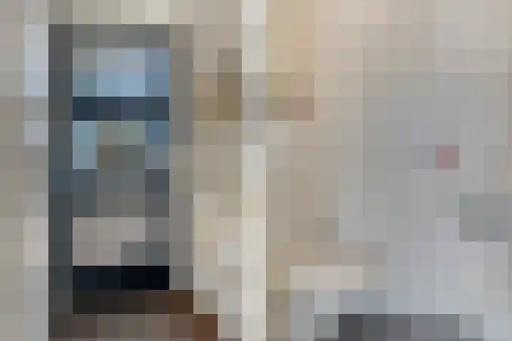 Duifkruid 67 Tiel thumbnail 14
