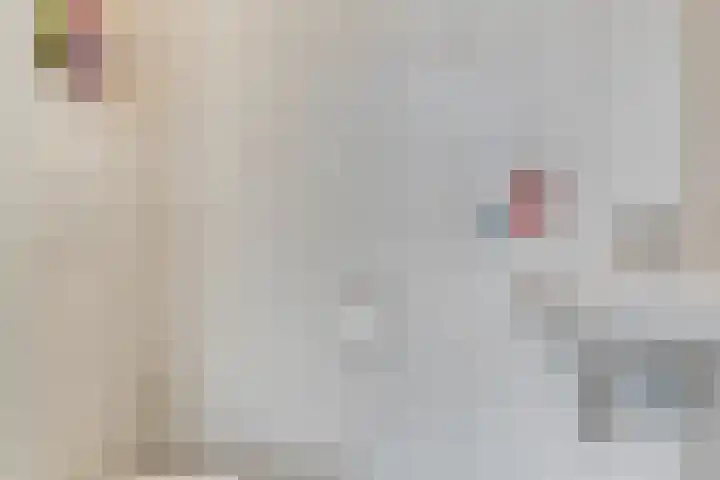 Duifkruid 67 Tiel thumbnail 16