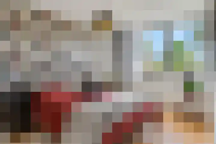 Duifkruid 67 Tiel thumbnail 17
