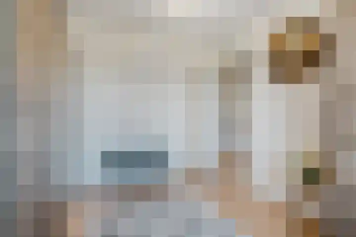 Duifkruid 67 Tiel thumbnail 20