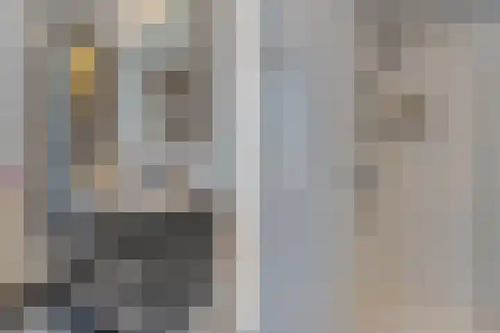 Duifkruid 67 Tiel thumbnail 24