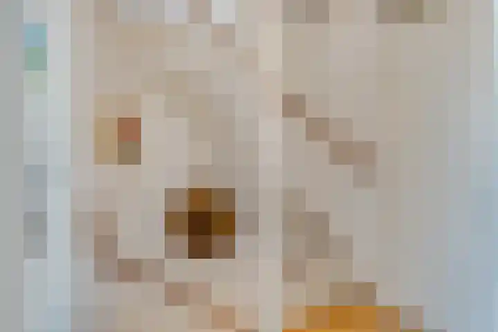 Duifkruid 67 Tiel thumbnail 29