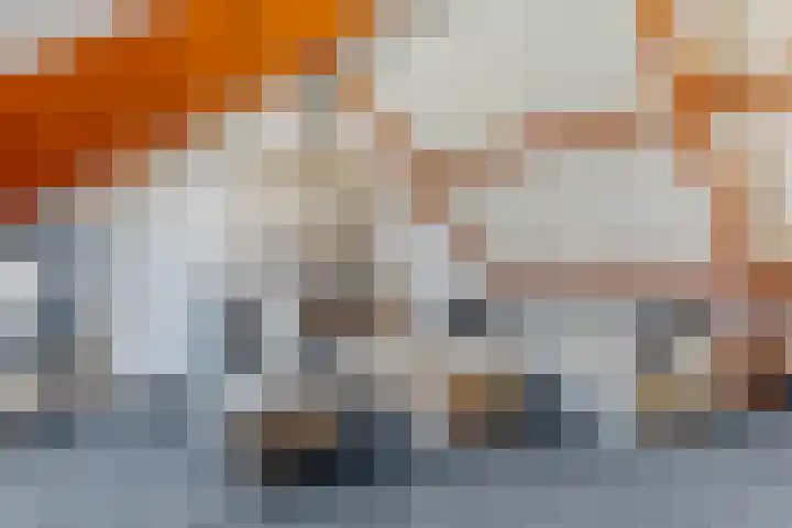 Duifkruid 67 Tiel thumbnail 30