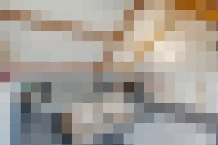 Duifkruid 67 Tiel thumbnail 32