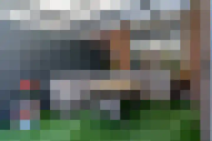 Duifkruid 67 Tiel thumbnail 35