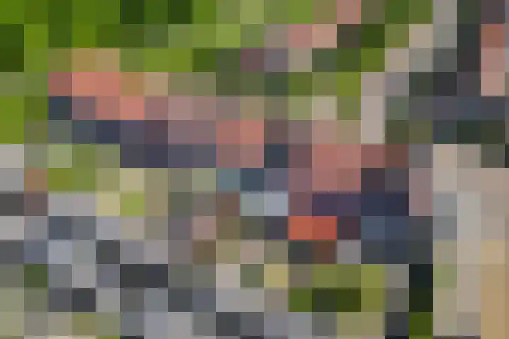 Duifkruid 67 Tiel thumbnail 37