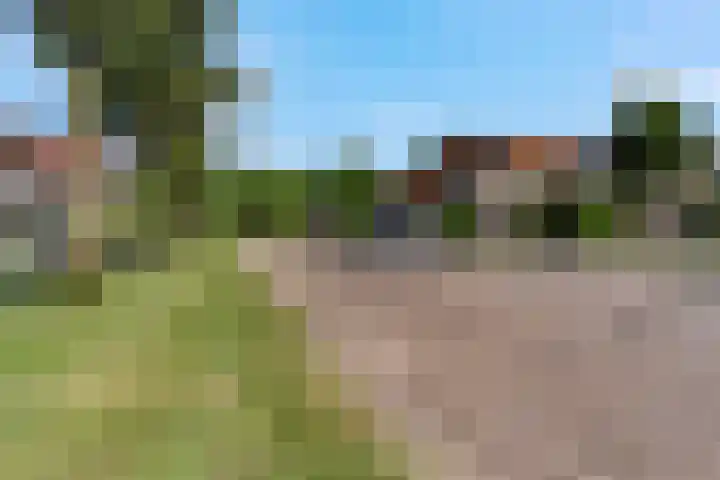 Duifkruid 67 Tiel thumbnail 38