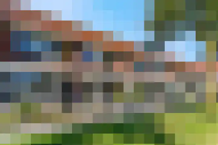 Duifkruid 67 Tiel thumbnail 39