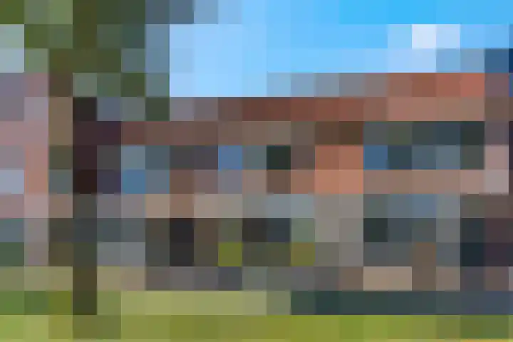 Duifkruid 67 Tiel thumbnail 40