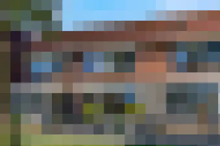 Duifkruid 67 Tiel thumbnail 42