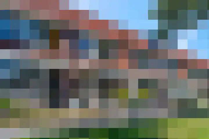 Duifkruid 67 Tiel thumbnail 43
