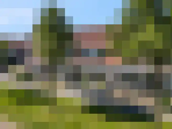 Duifkruid 67 Tiel thumbnail 49