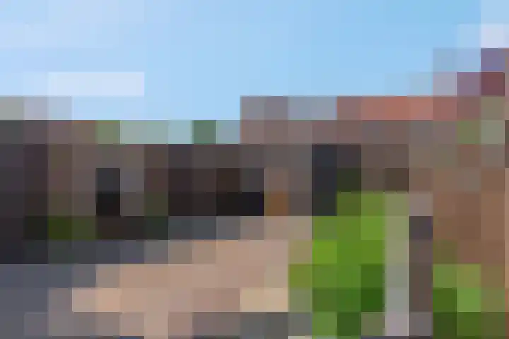 Duifkruid 67 Tiel thumbnail 5
