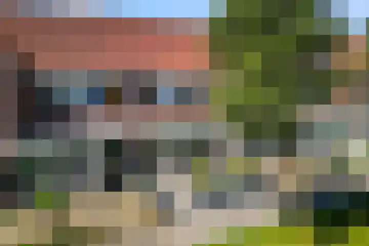 Duifkruid 67 Tiel thumbnail 6