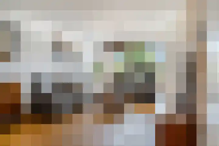 Duifkruid 67 Tiel thumbnail 7