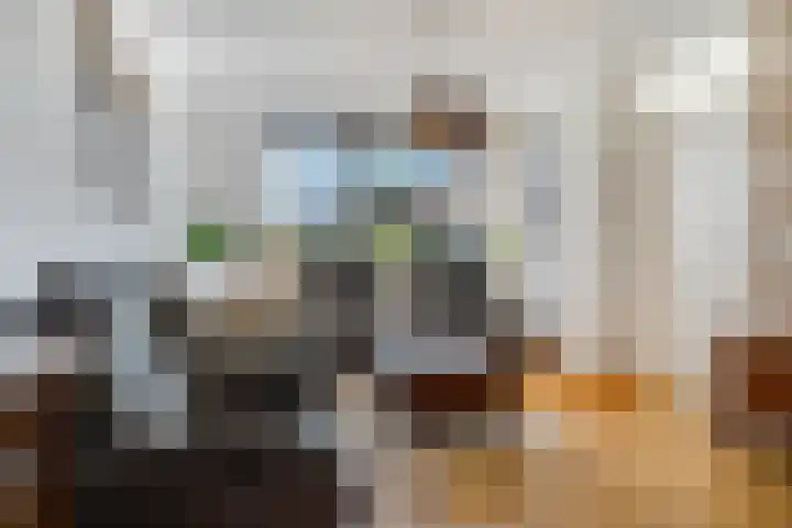 Duifkruid 67 Tiel thumbnail 8