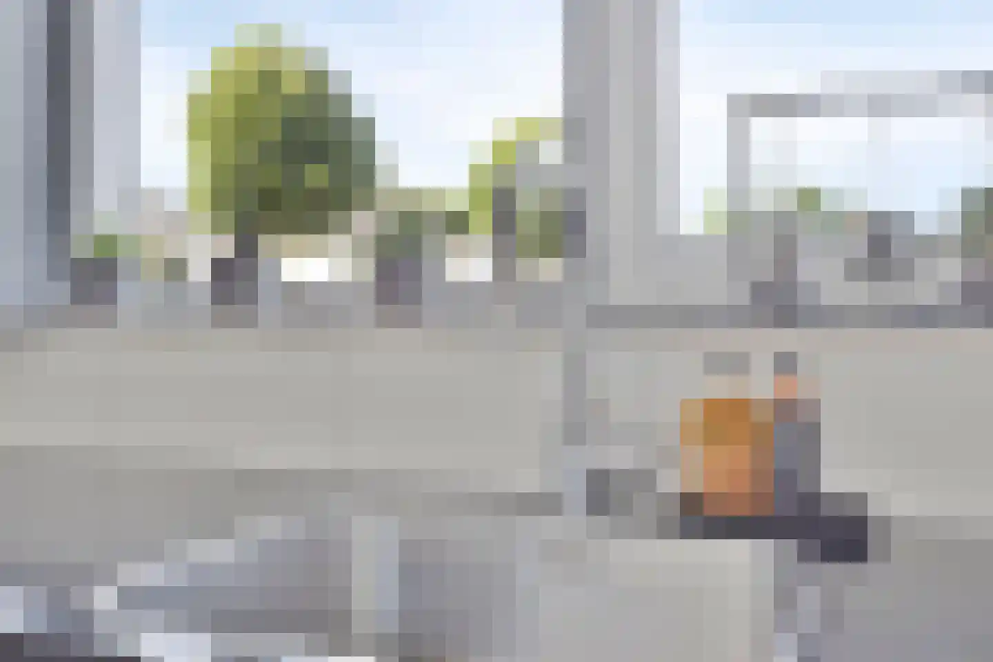 Duifkruid 71 Boxmeer thumbnail 13