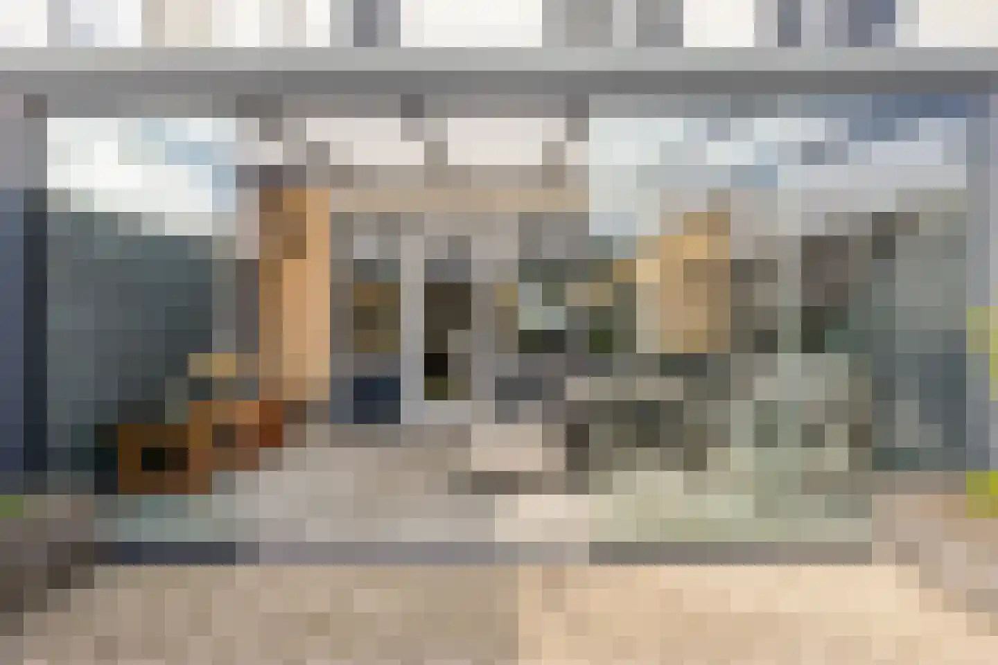 Duifkruid 71 Boxmeer thumbnail 18