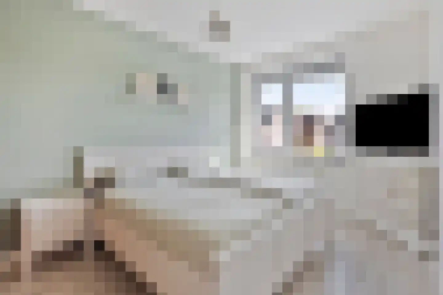 Duifkruid 71 Boxmeer thumbnail 24