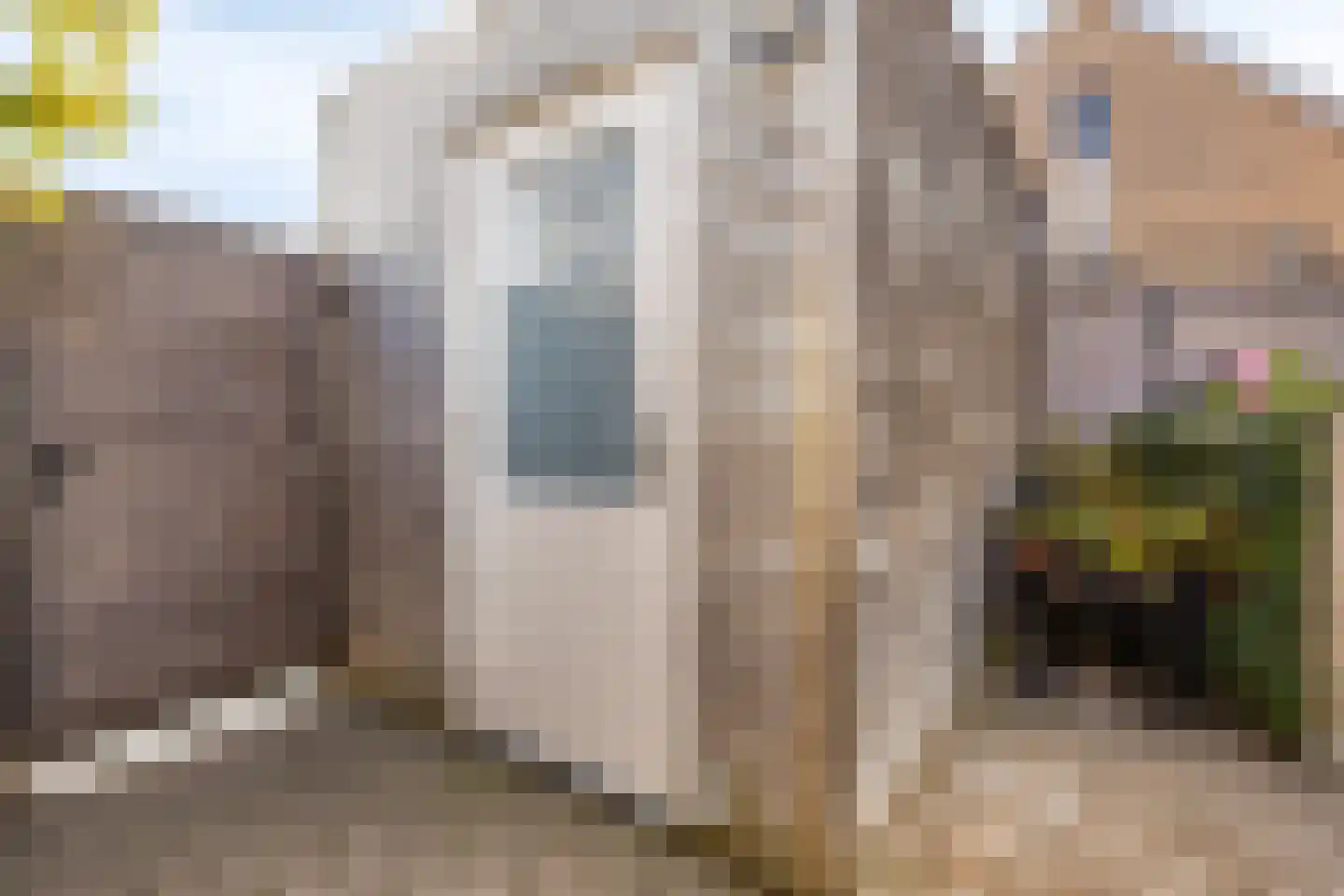 Duifkruid 71 Boxmeer thumbnail 32