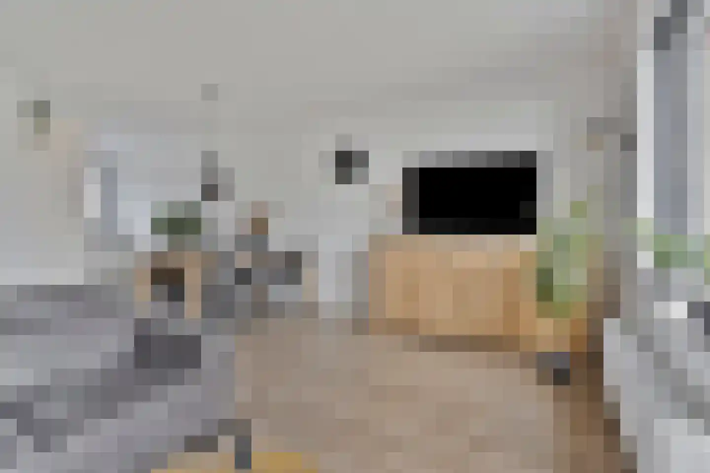 Duifkruid 71 Boxmeer thumbnail 9