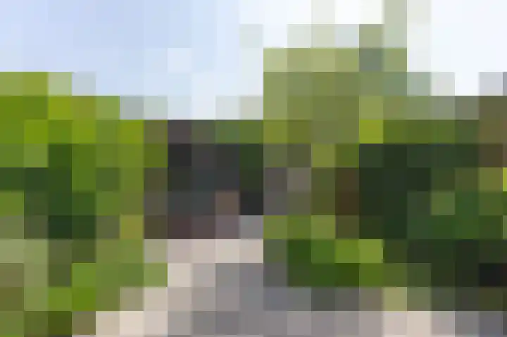 Duifpolder 75 Amersfoort thumbnail 15