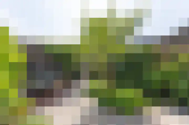 Duifpolder 75 Amersfoort thumbnail 16