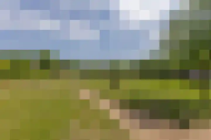 Duifpolder 75 Amersfoort thumbnail 37