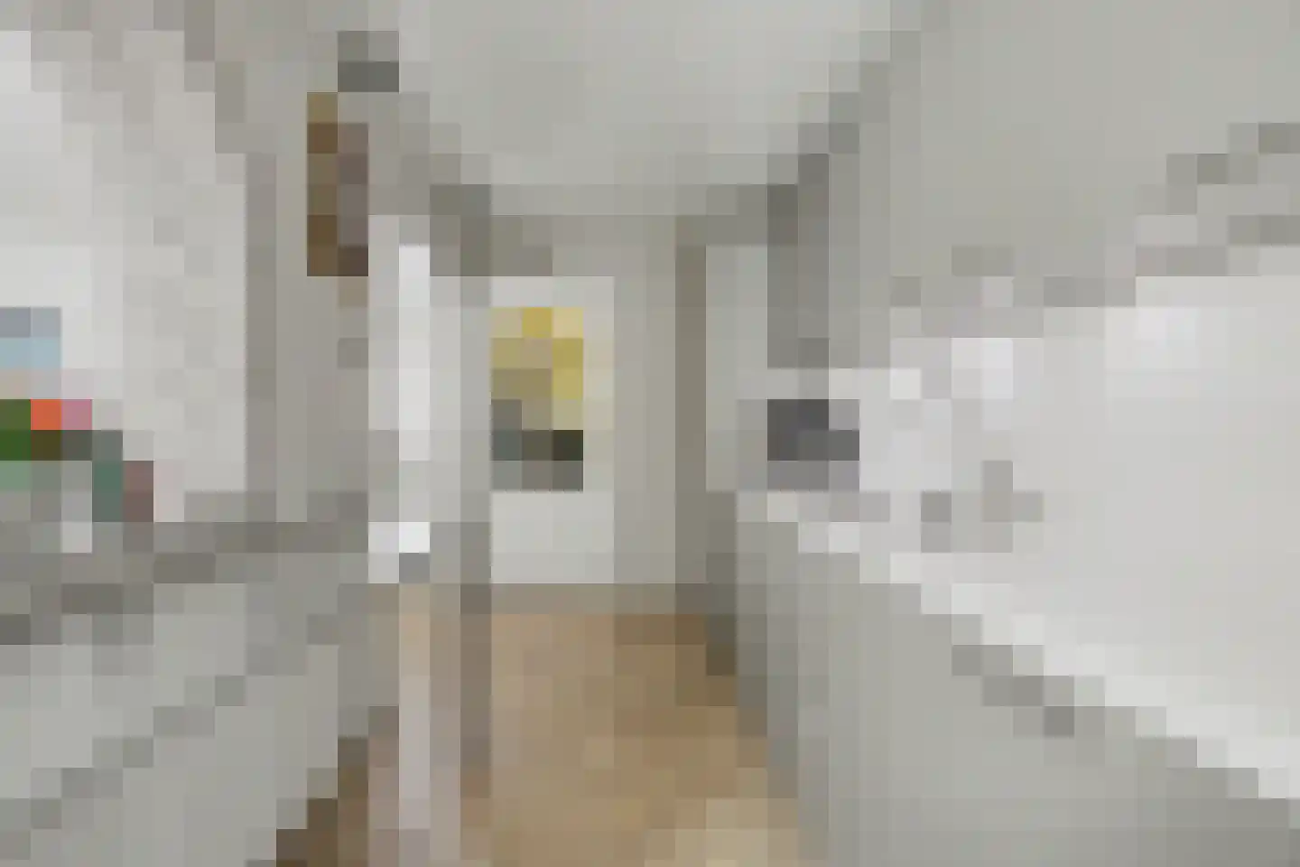 Duifstraat 12 Tilburg thumbnail 8