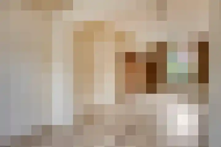 Duifstraat 13 Tilburg thumbnail 15