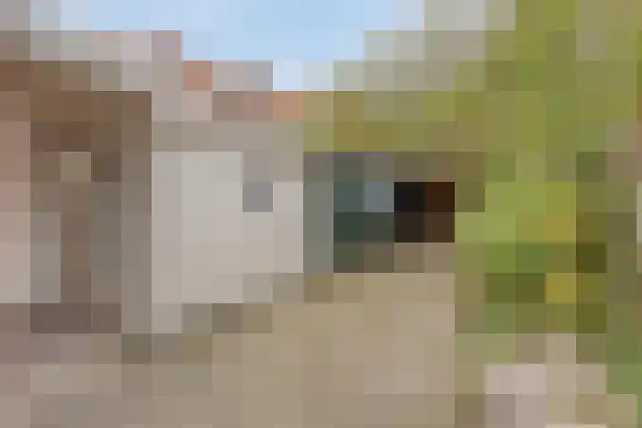 Duifstraat 13 Tilburg thumbnail 36