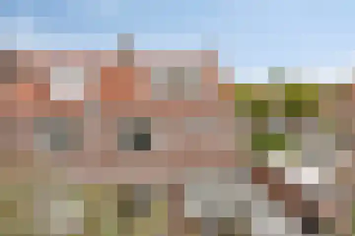 Duifstraat 13 Tilburg thumbnail 41